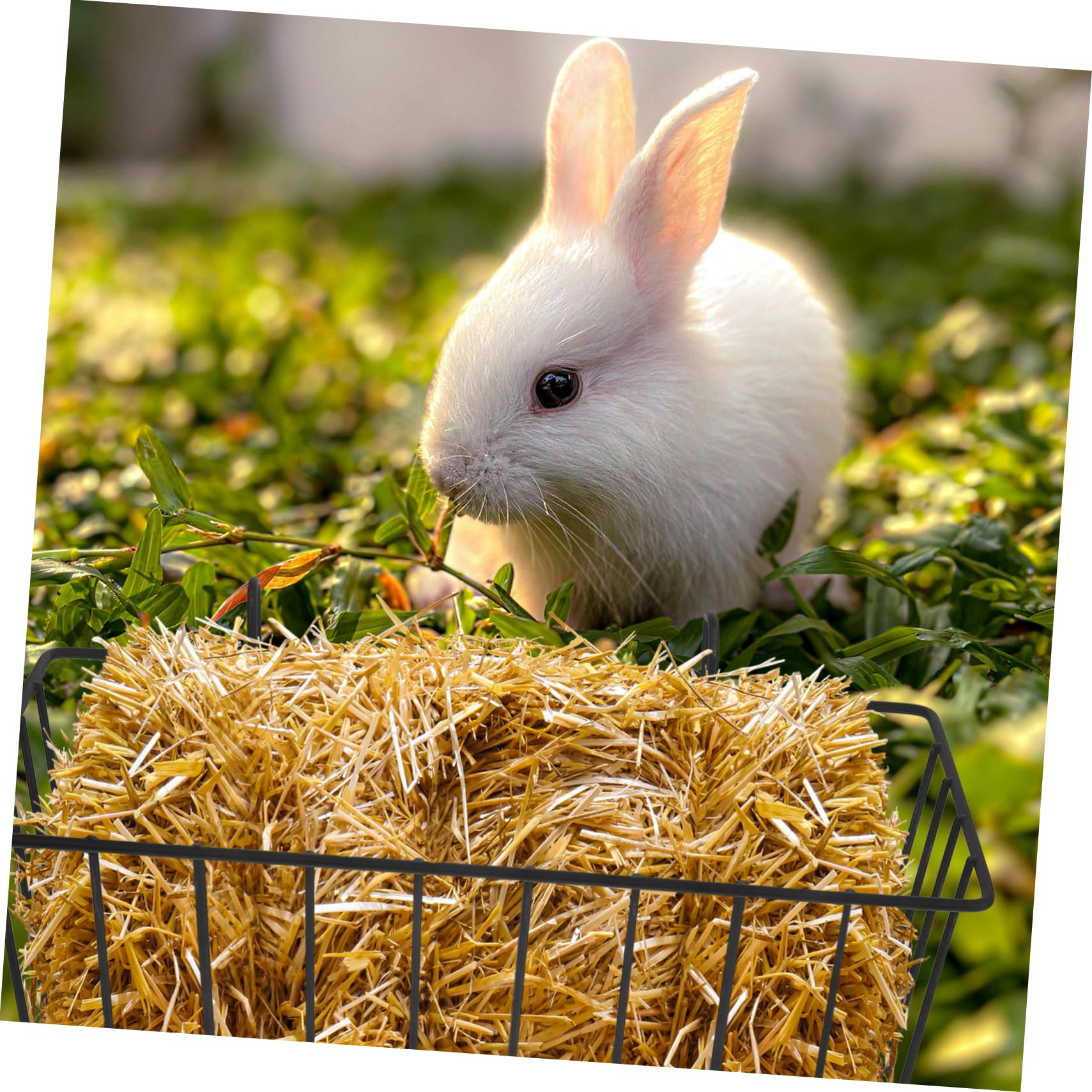 Alipis Râtelier à Foin Métal Lapin Lot de 2 Noir
