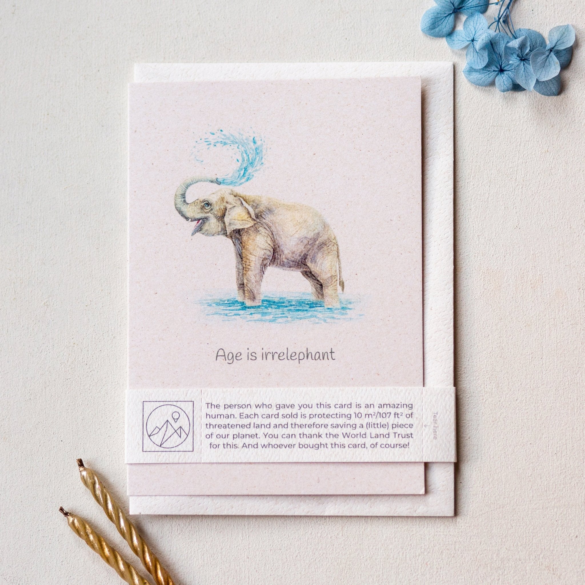 Trouvaille Carte Animaux Greeting Card Caritative Animaux