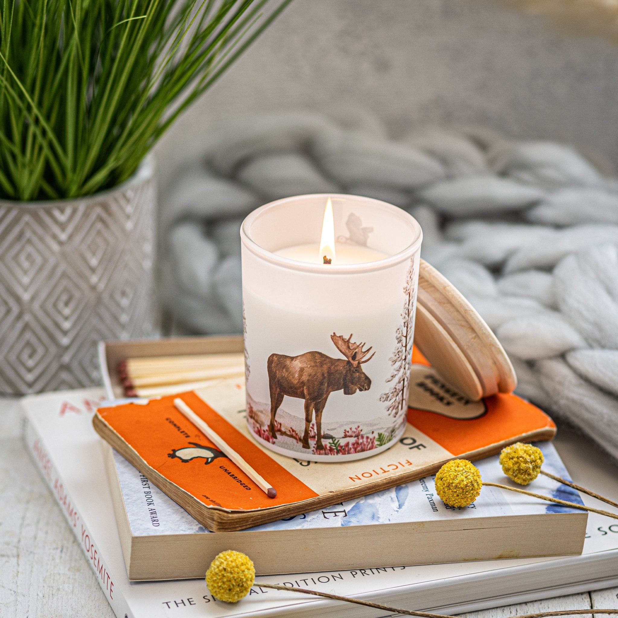 Trouvaille Tundra bougie soja cachemire santal relaxante