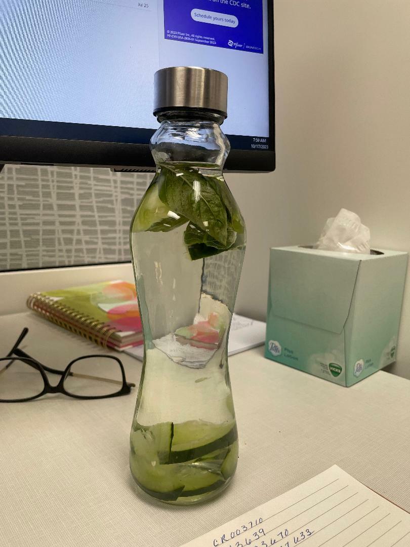 JoyJolt Spring Bouteille verre 52 cl lot 6 inox