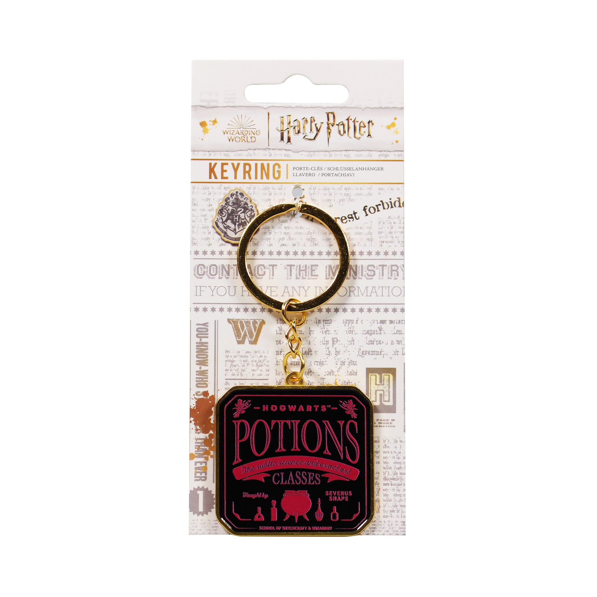 Harry Potter Potions porte-clés métal noir