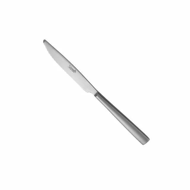 Artis Time Ice couteau à dessert 21 cm inox