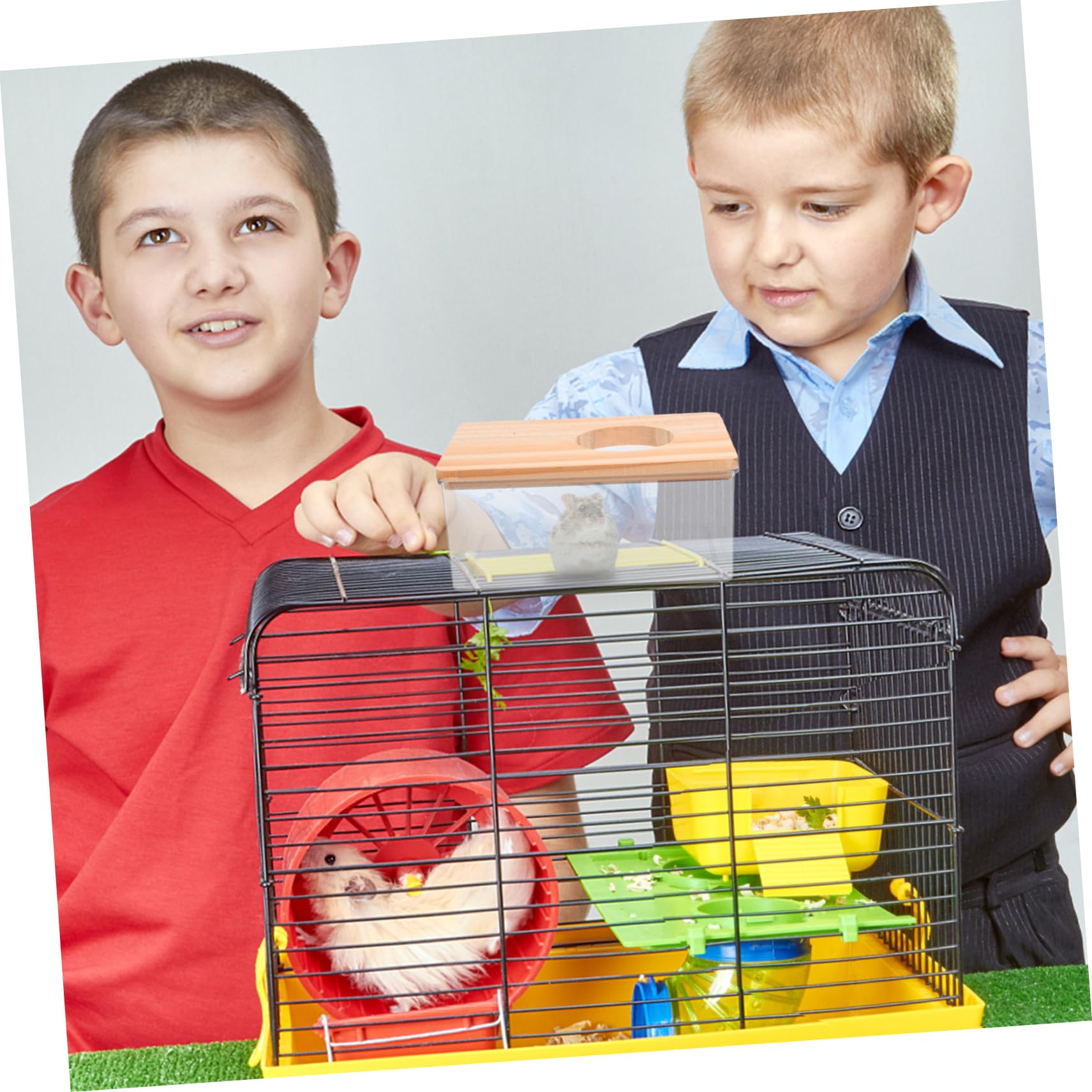 Alipis bassine hamster acrylique transparente 16,5 cm