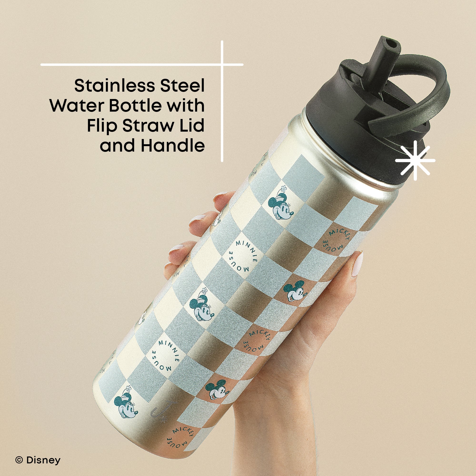 JoyJolt Disney Retro Vintage gourde inox Mickey Minnie 65 cl
