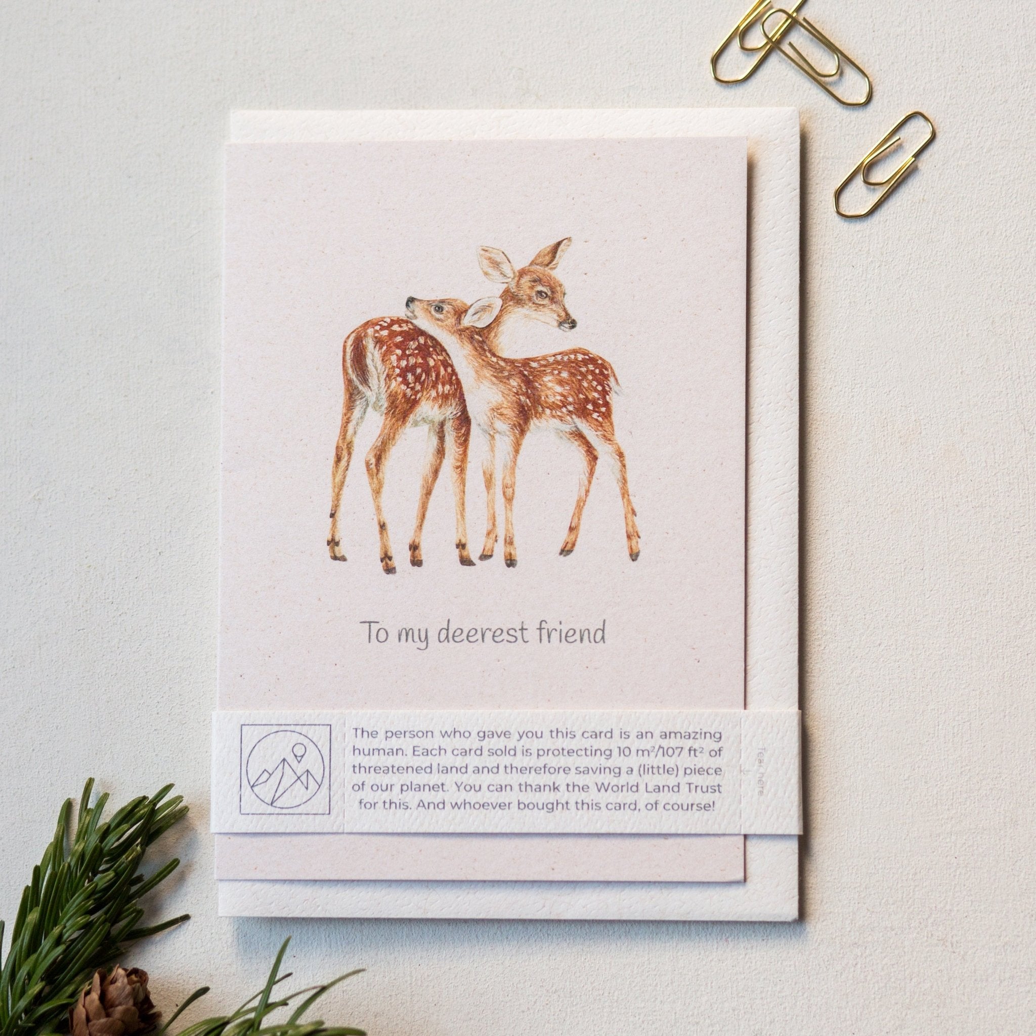 Trouvaille Carte Animaux Greeting Card Caritative Animaux
