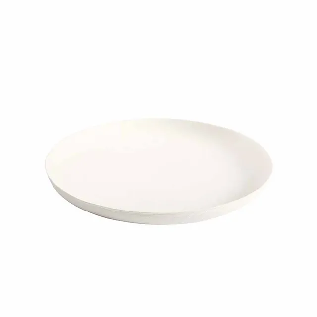 Artis Disposable assiette jetable 16 cm x40