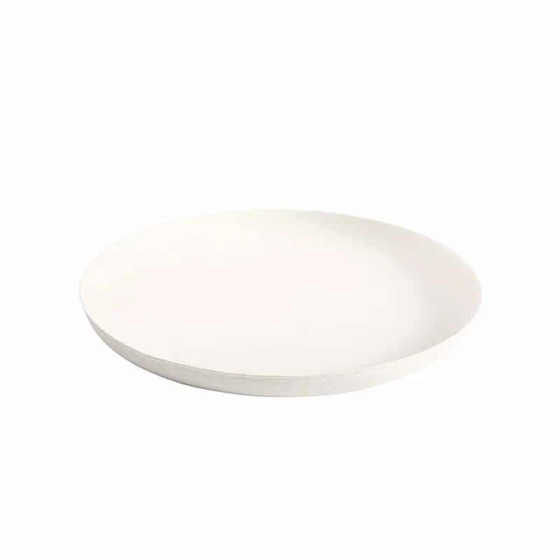 Artis Disposable assiette jetable 16 cm x40