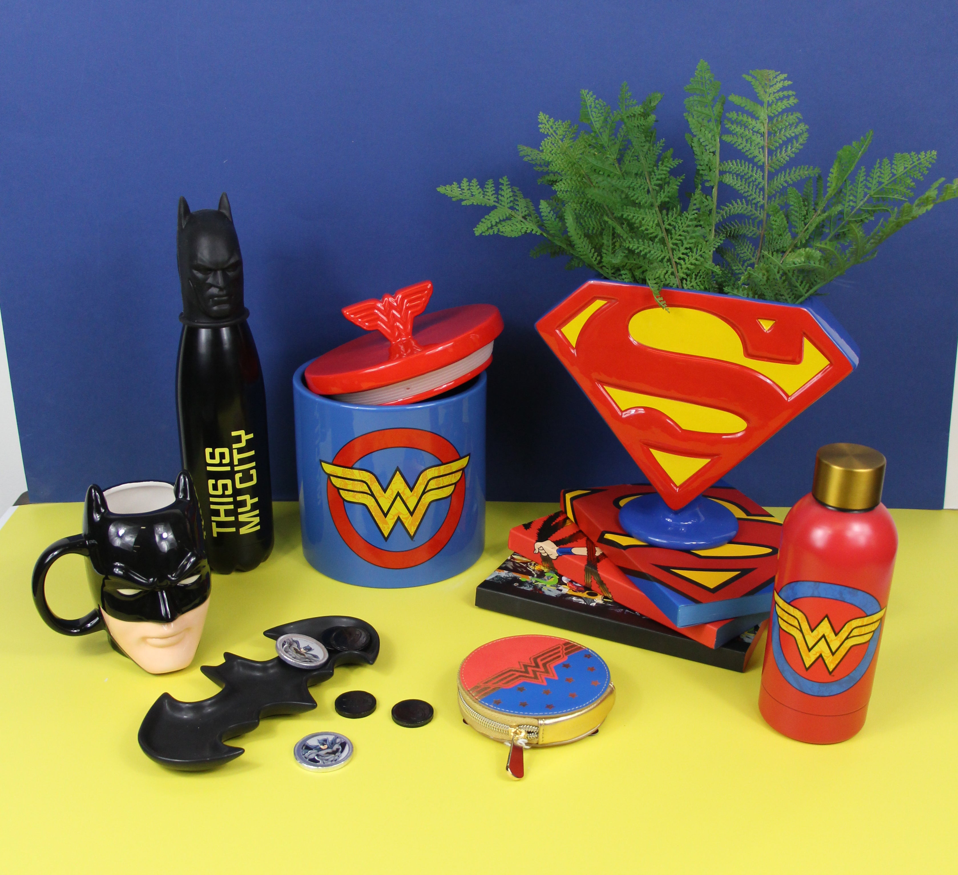 Wonder Woman Truth gourde inox 40 cl