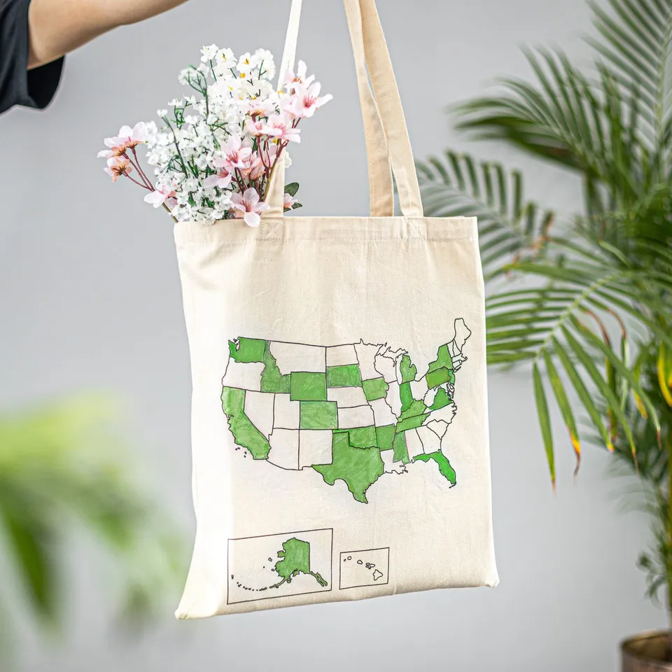 Trouvaille USA Map tote bag à colorier coton