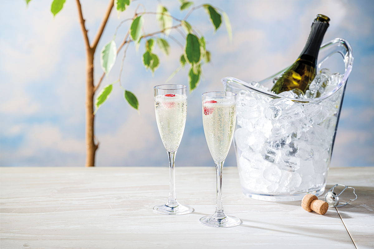 Artis seau à glace 25 cm inox apéro