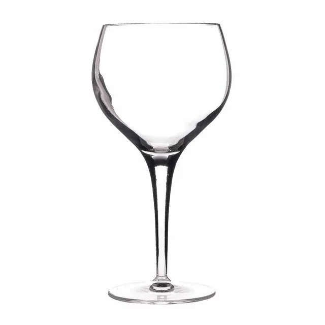 Artis Michelangelo Masterpiece verre Bourgogne 50 cl