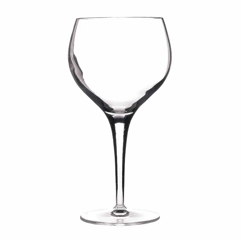 Artis Michelangelo Masterpiece verre Bourgogne 50 cl