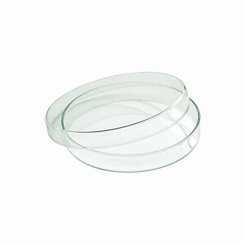 Artis bol en verre avec couvercle 15 cm
