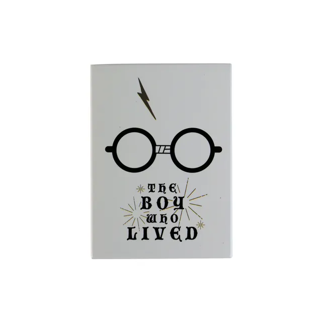 Harry Potter Boy Who Lived magnet métal