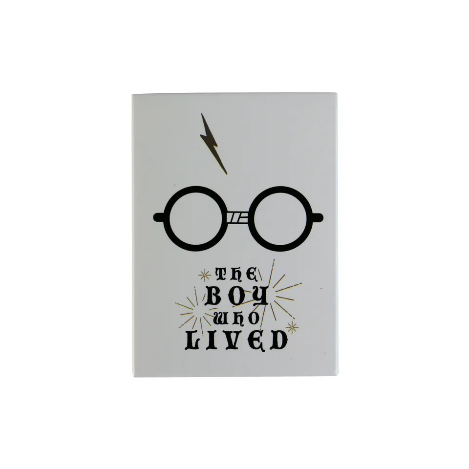 Harry Potter Boy Who Lived magnet métal