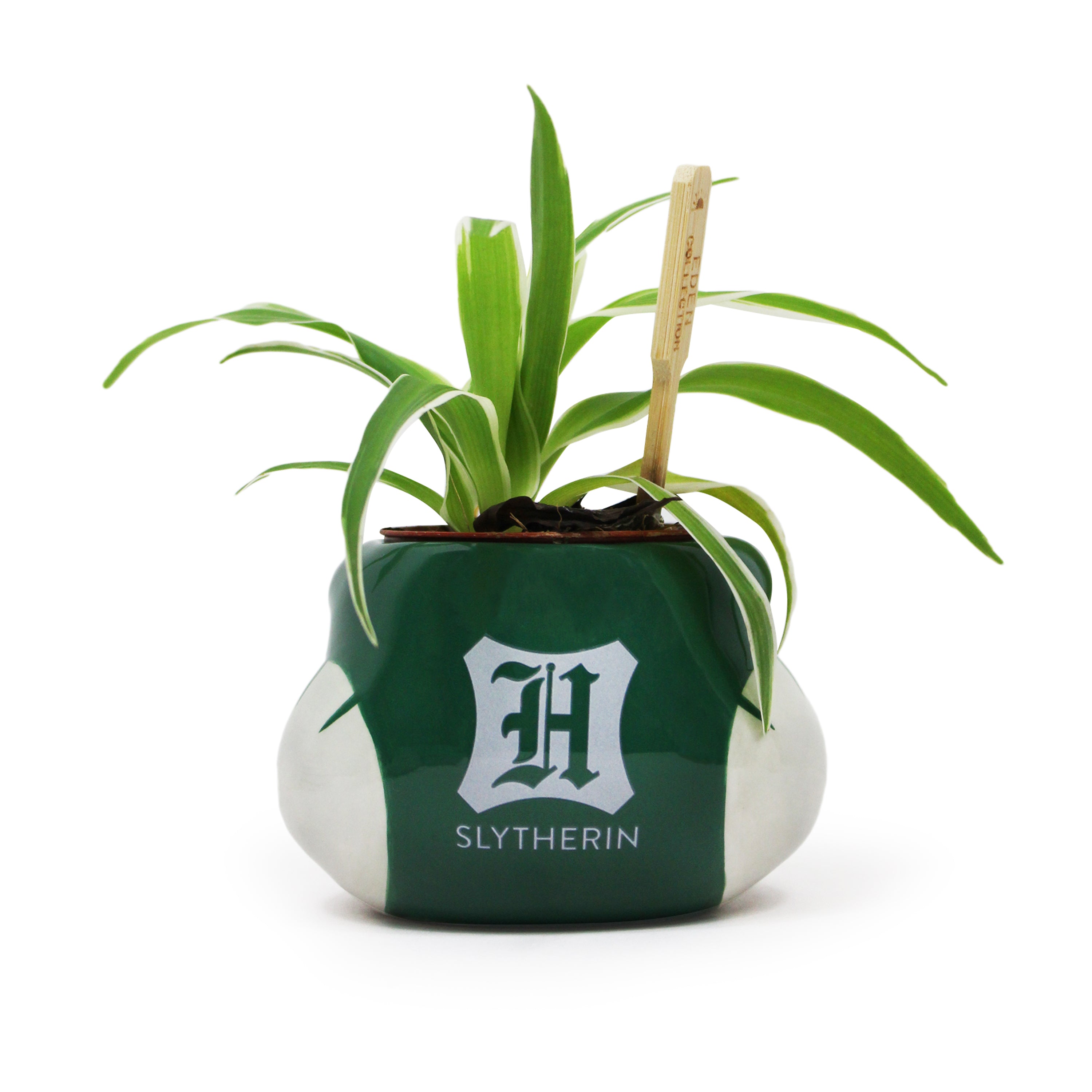 HMB Harry Potter Slytherin pot céramique 20 cl