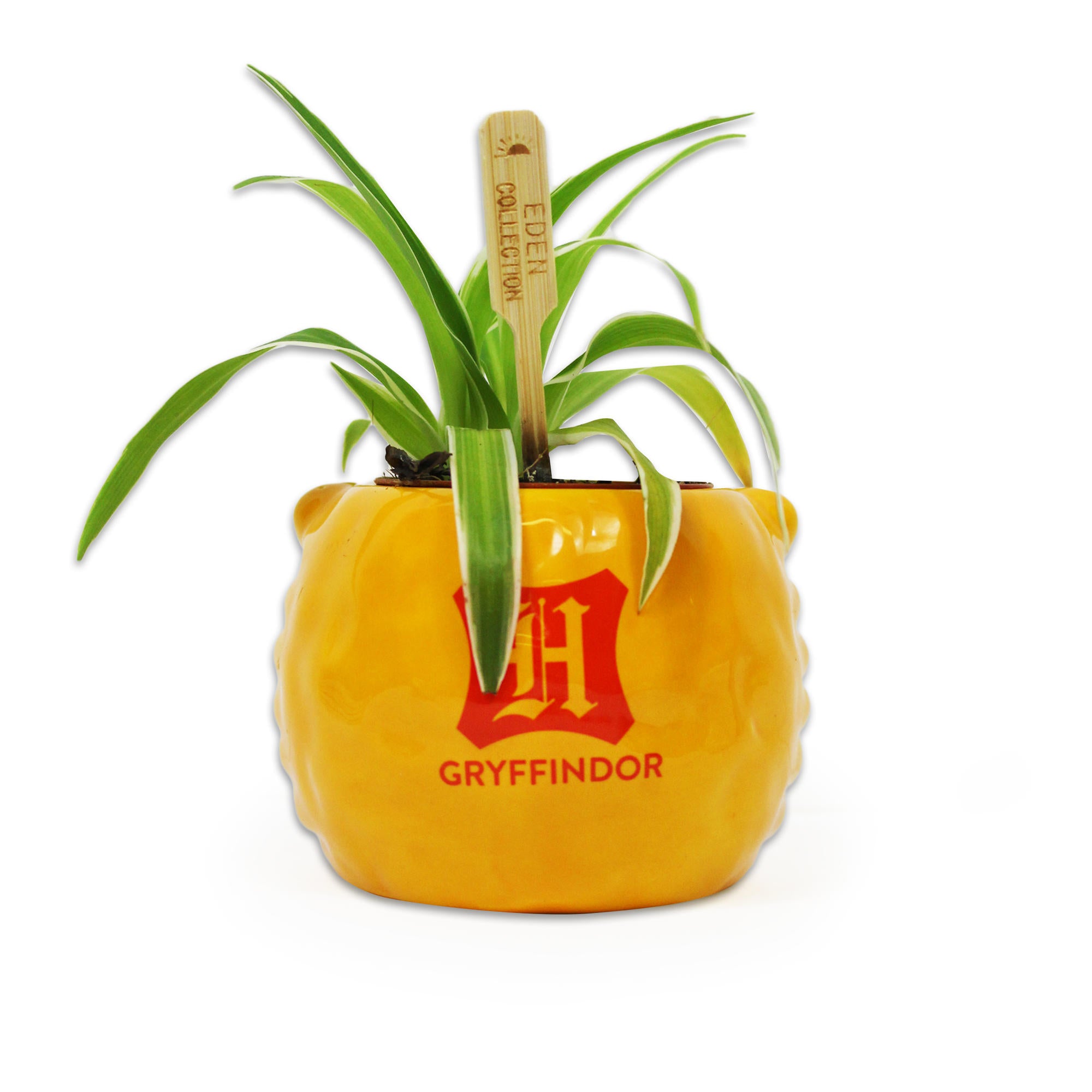 Harry Potter Gryffondor pot céramique 22 cl