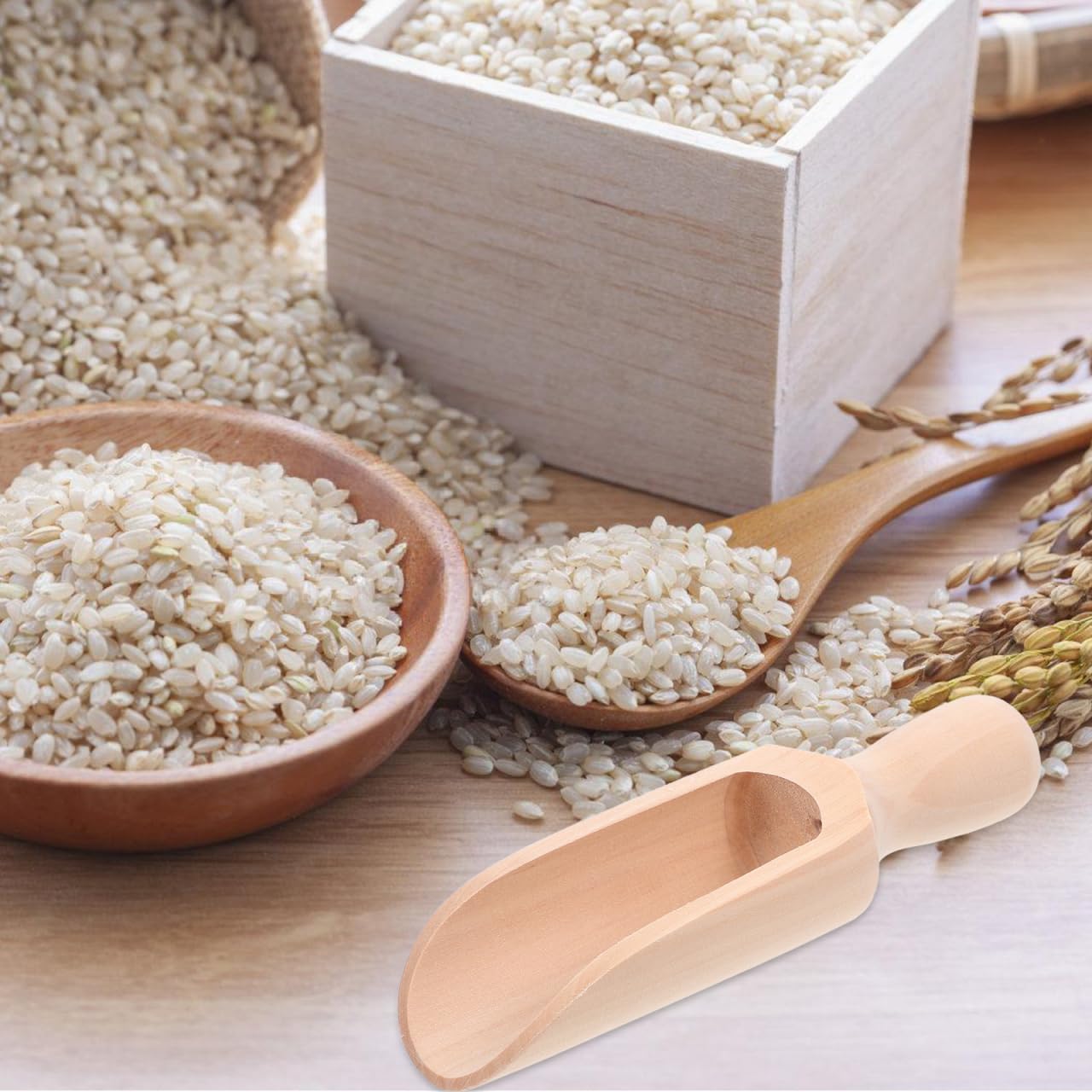Alipis cuillère bois de hêtre cuisine 14 cm