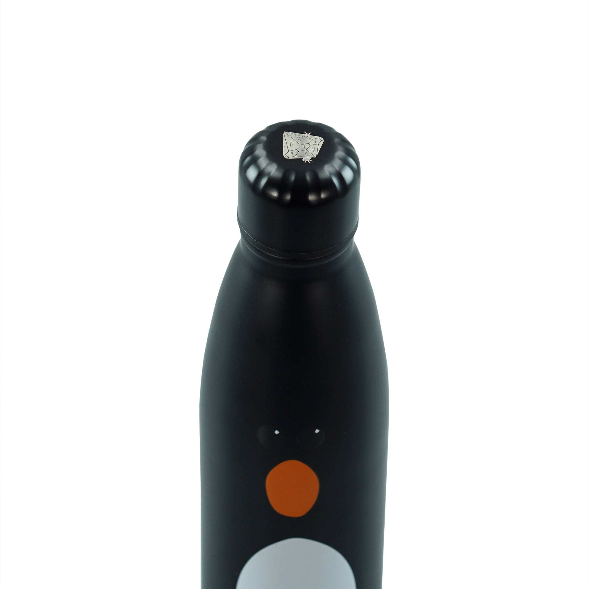 HMB Wallace & Gromit Feather gourde inox 50 cl noire