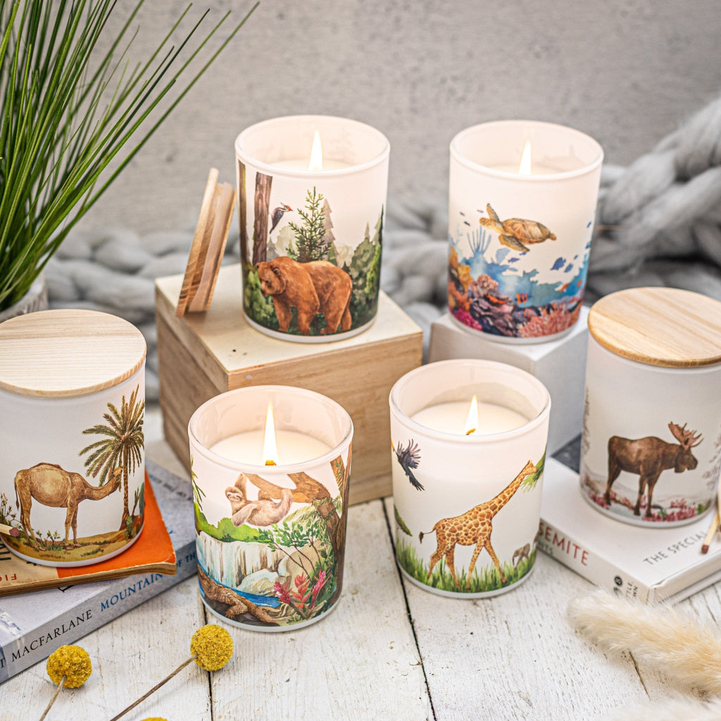 Trouvaille Freshwater bougie soja tropicale jasmin revigorante