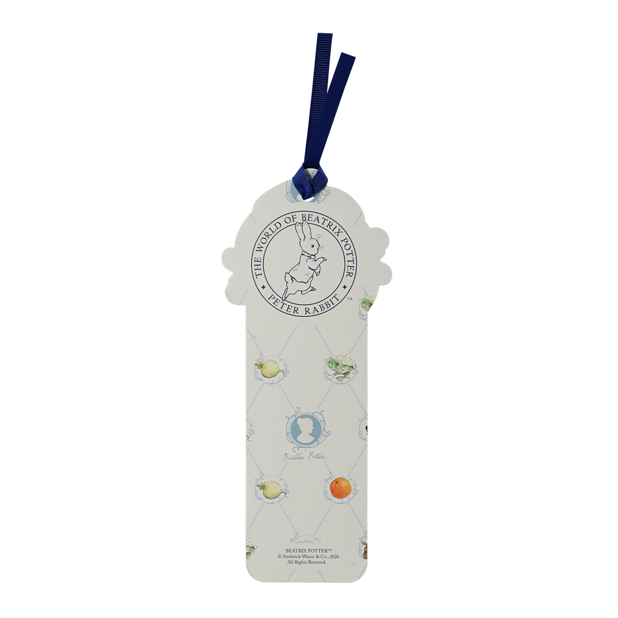 HMB Peter Rabbit Now Run marque-page papier bleu