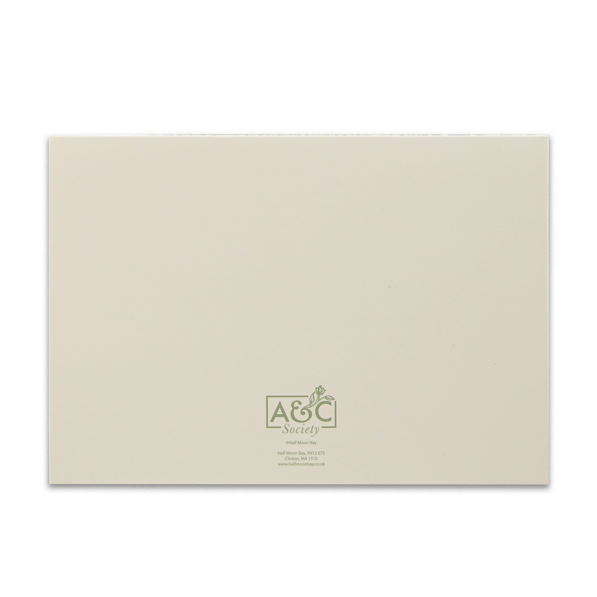 HMB Arts & Crafts coffret 12 cartes vert sauge