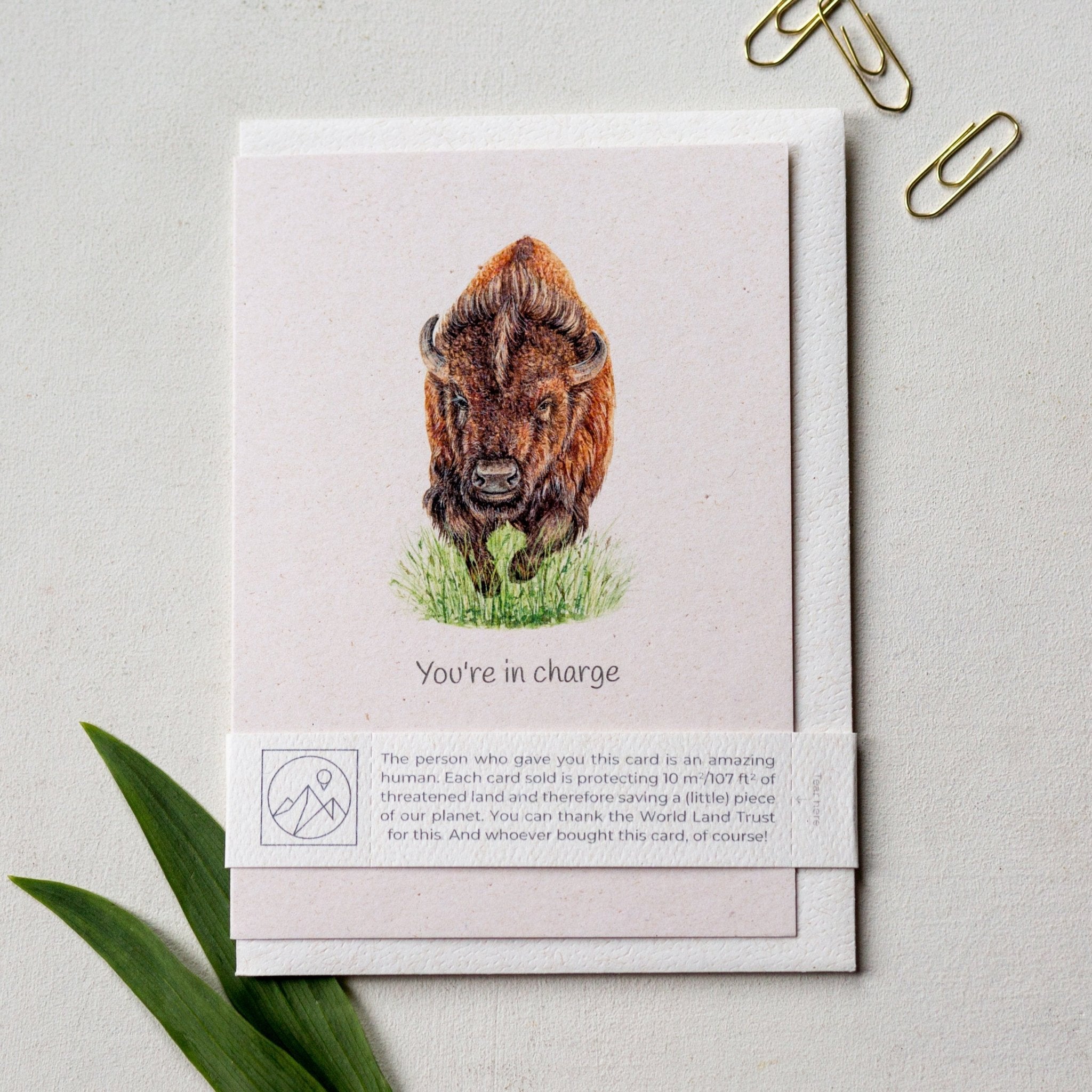 Trouvaille Carte Animaux Greeting Card Caritative Animaux