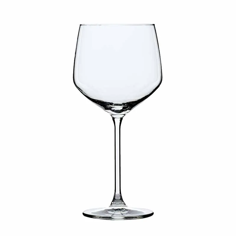 Artis Specials G&T Tall verre gin tonic 65cl grand