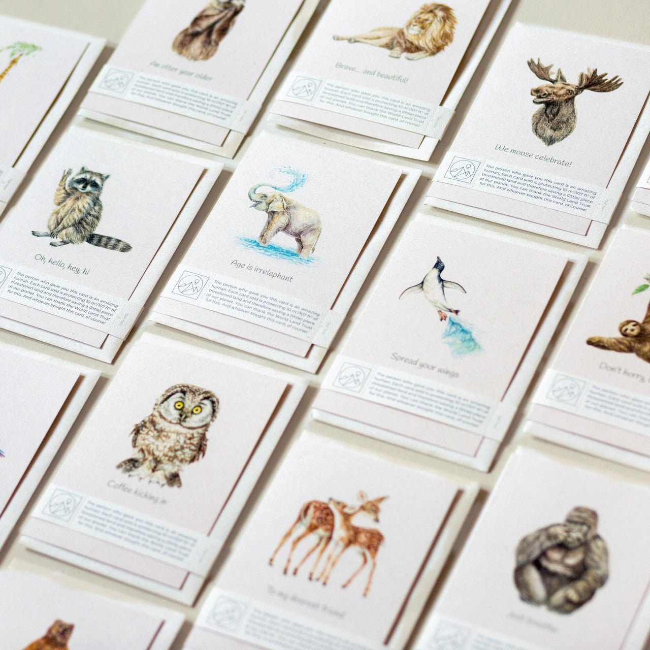 Trouvaille Carte Animaux Greeting Card Caritative Animaux