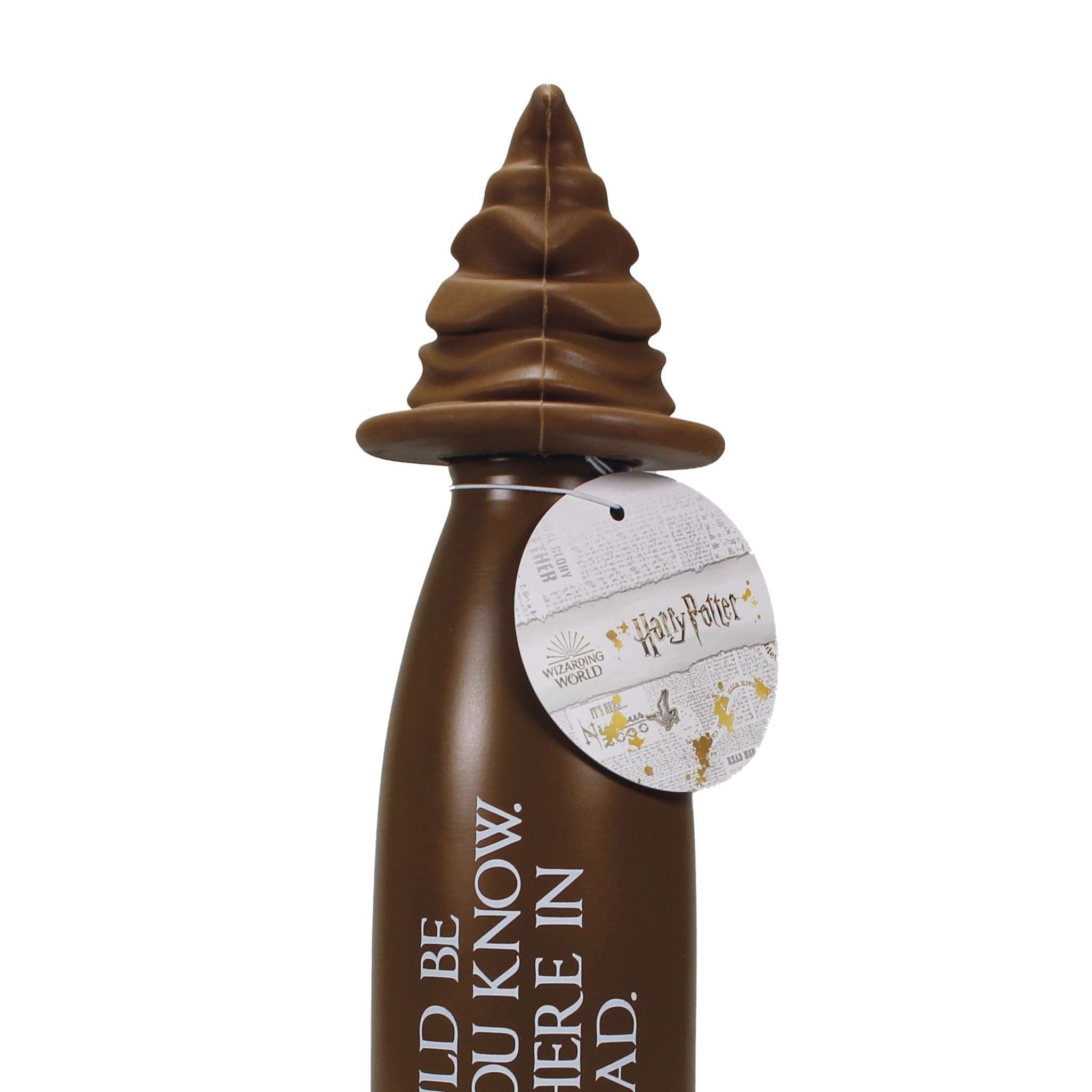 Harry Potter Sorting Hat gourde inox 50 cl 3D marron