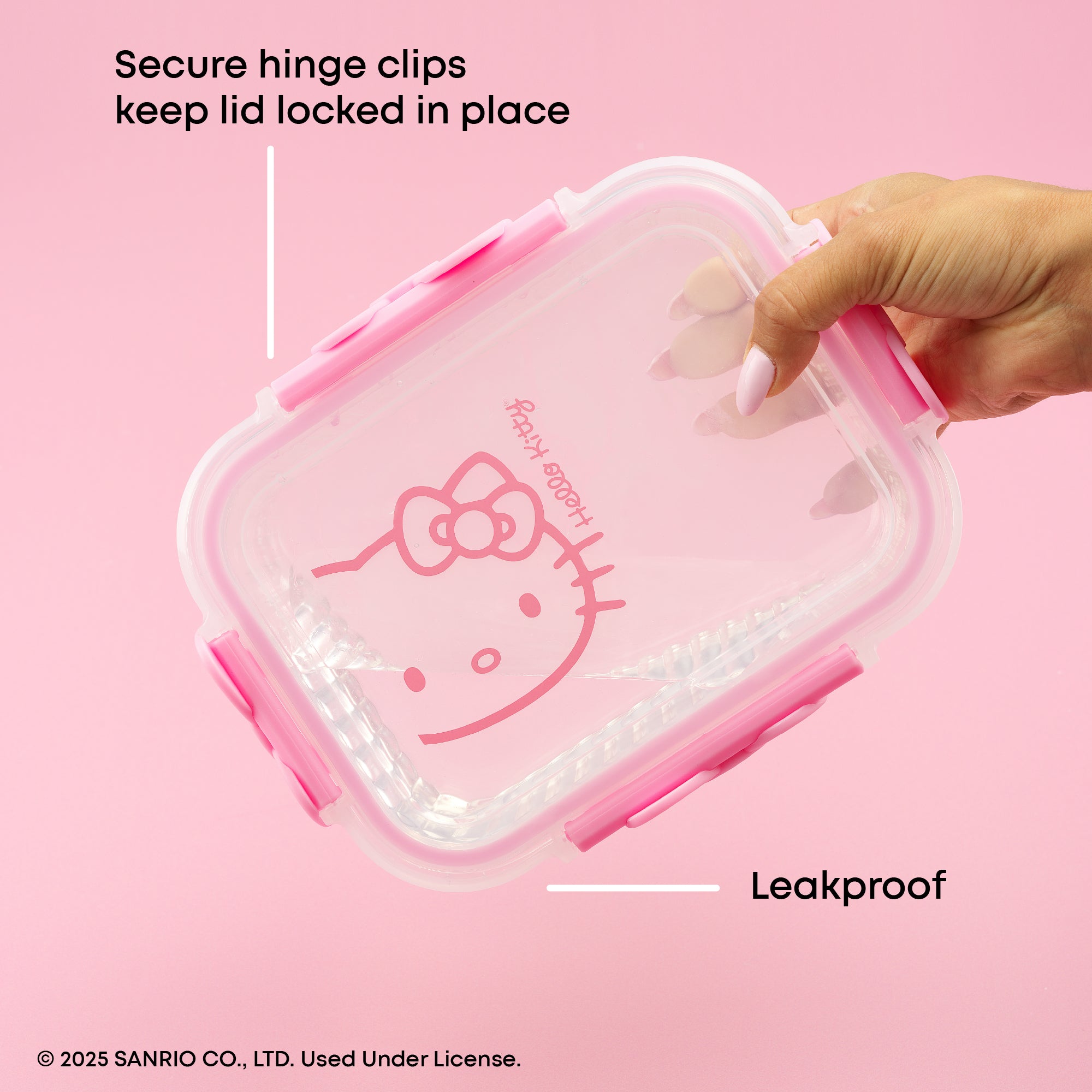JoyJolt Hello Kitty Fluted boîtes lot 2 100 cl