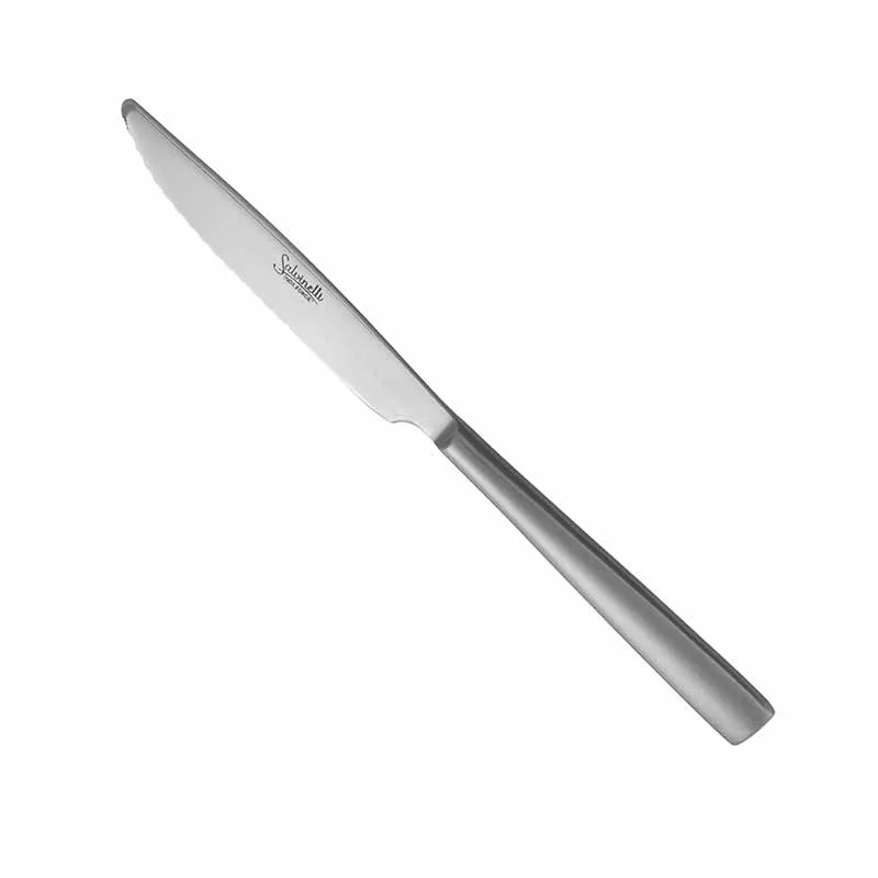 Artis Time Ice couteau de table 23,5 cm inox