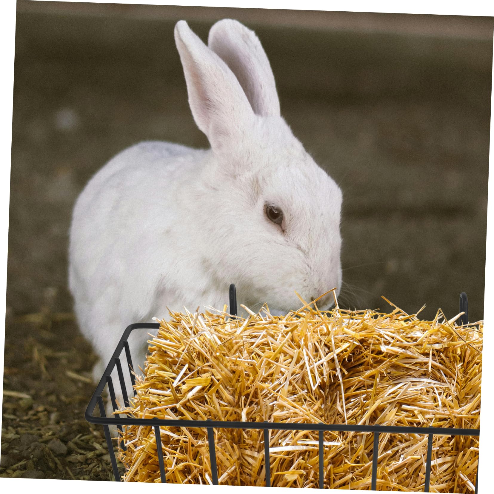 Alipis Râtelier à Foin Métal Lapin Lot de 2 Noir