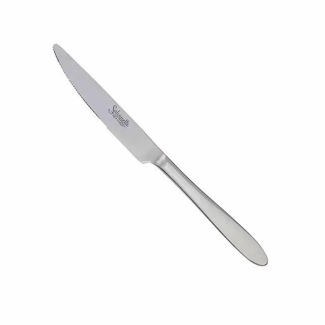 Artis Fast couteau à dessert 20,7 cm inox