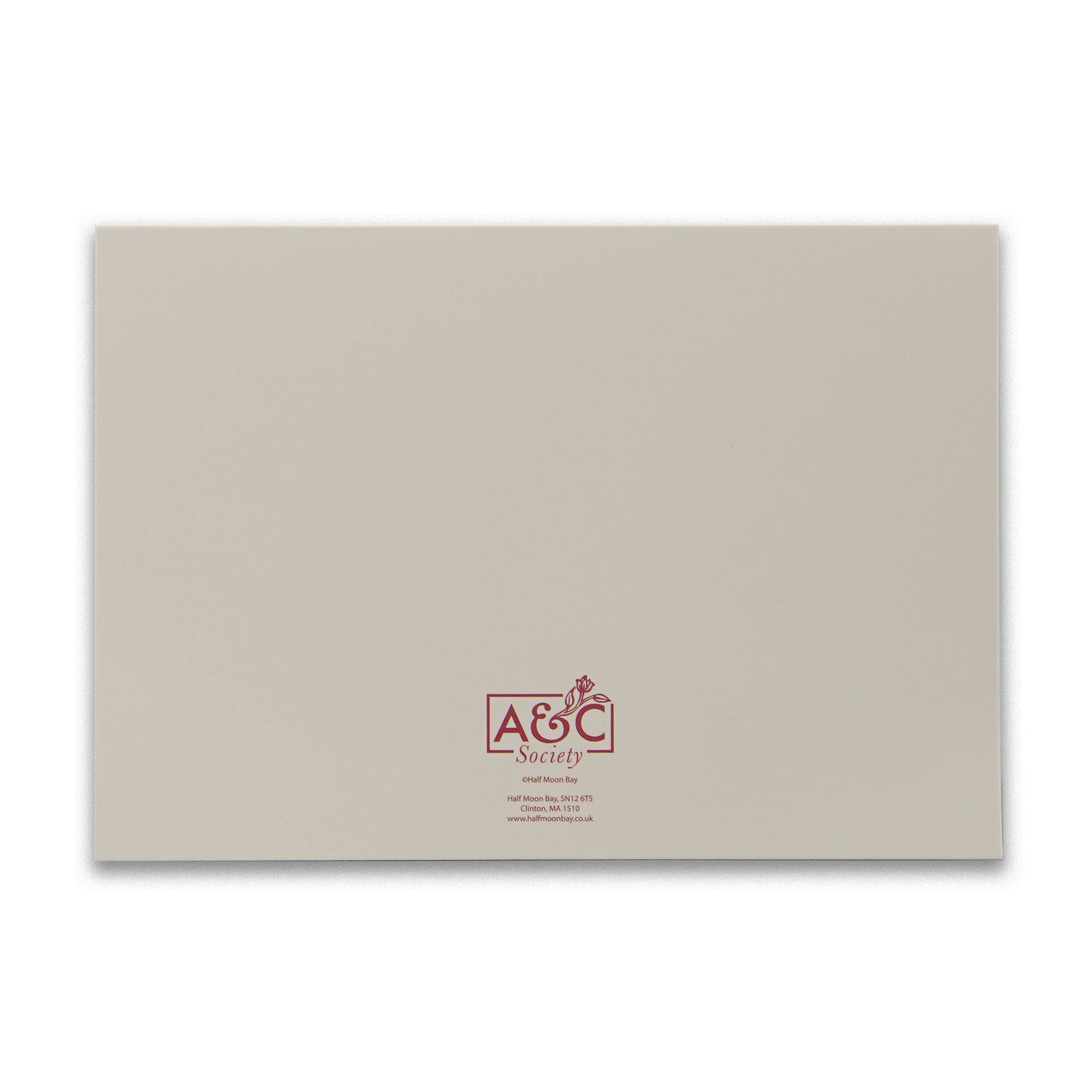 Arts & Crafts Society Blackthorn coffret 12 cartes bleues