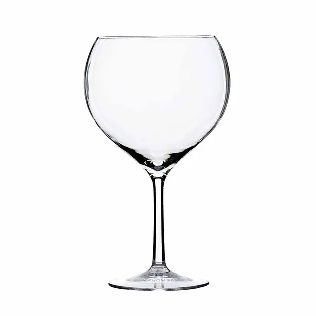 Artis Gin verre ballon 70 cl généreux