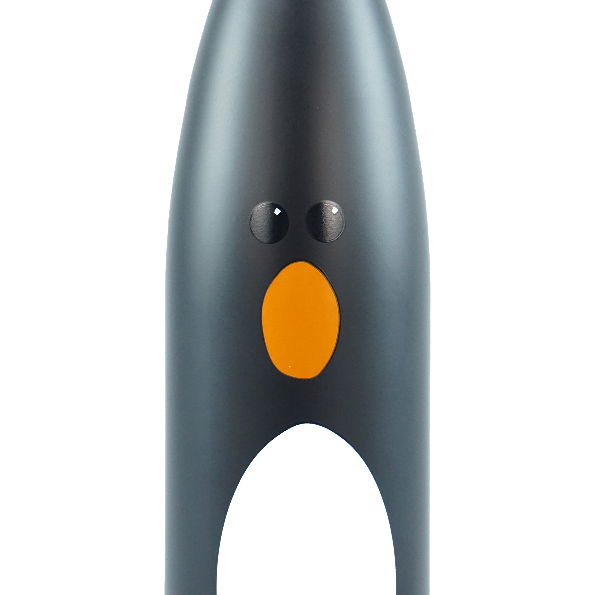 HMB Wallace & Gromit Feather gourde inox 50 cl noire