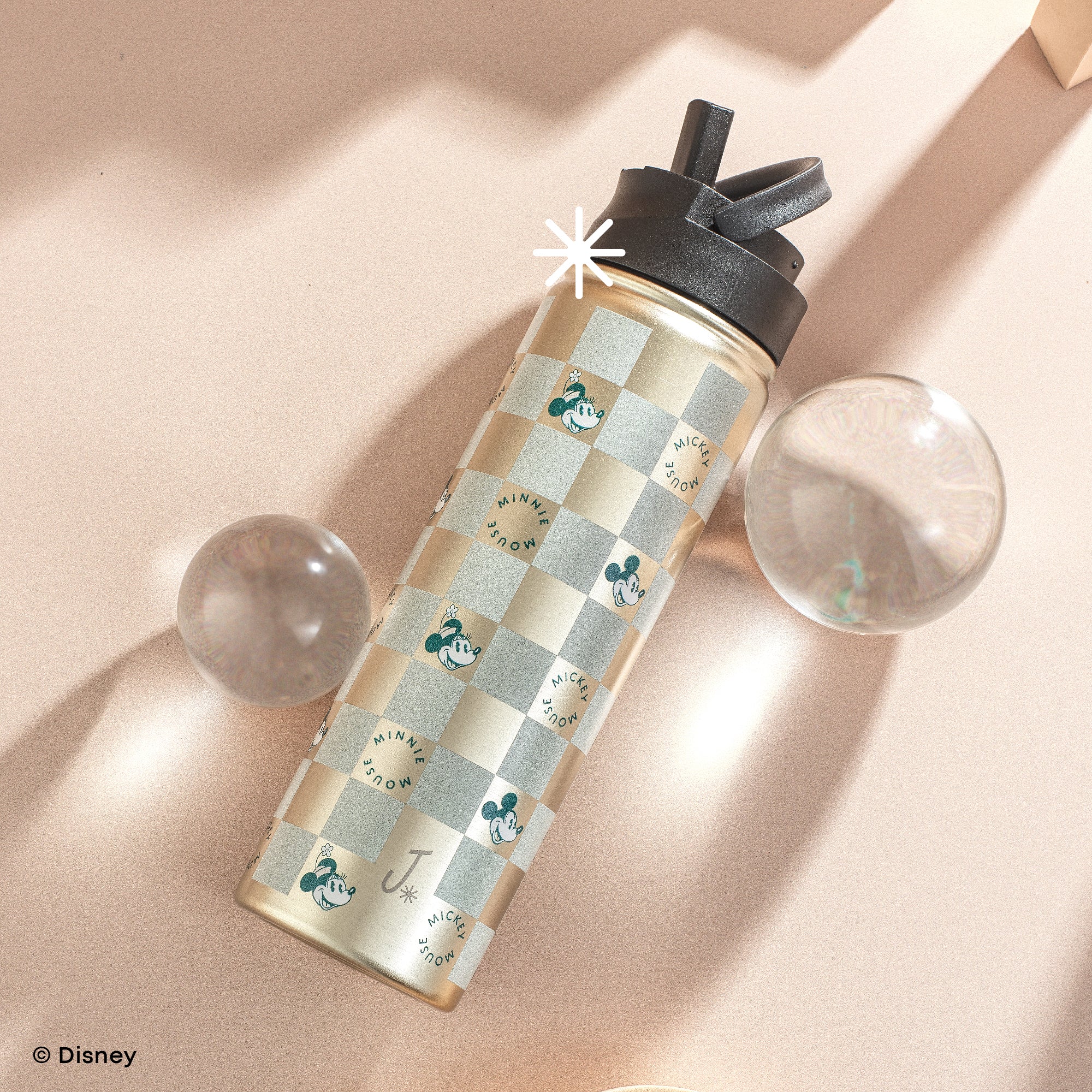 JoyJolt Disney Retro Vintage gourde inox Mickey Minnie 65 cl