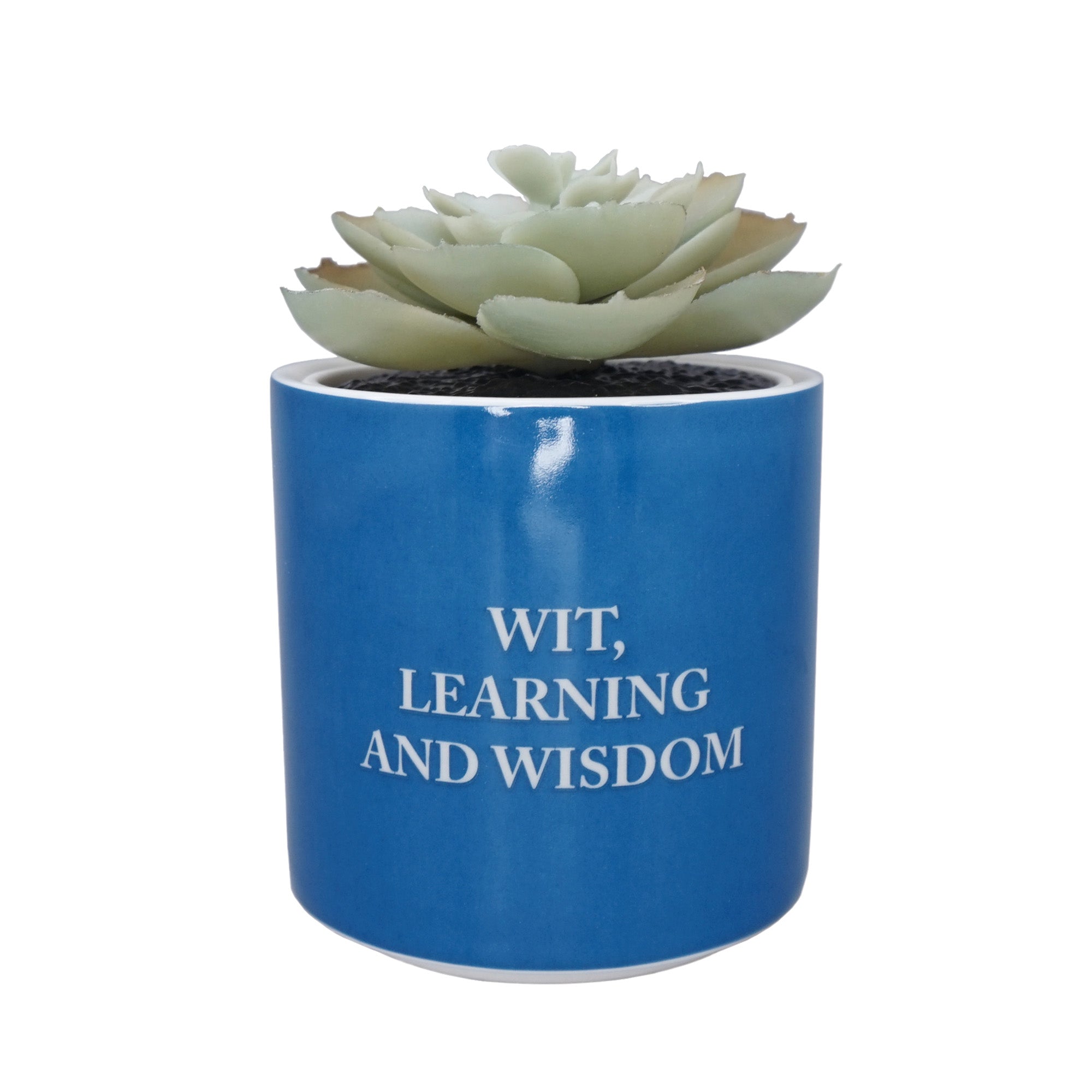 HMB Harry Potter Ravenclaw cache-pot plante artificielle 15 cl