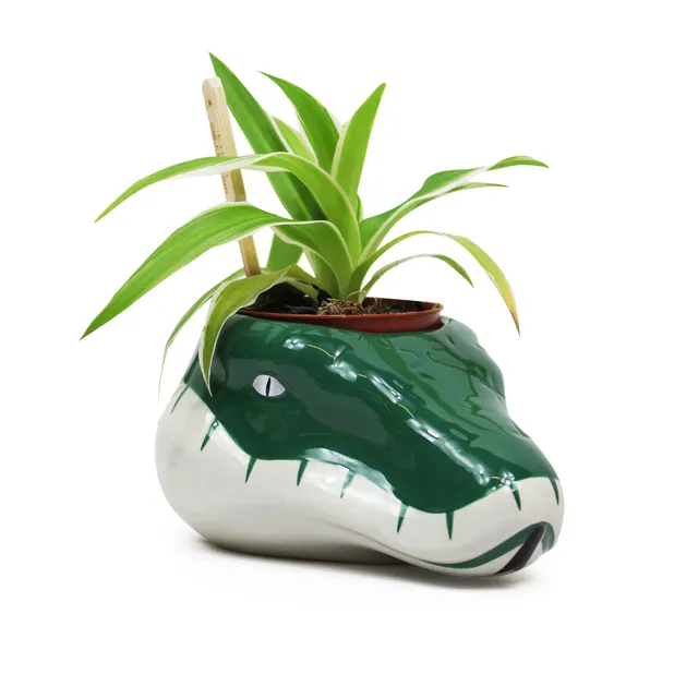 HMB Harry Potter Slytherin pot céramique 20 cl