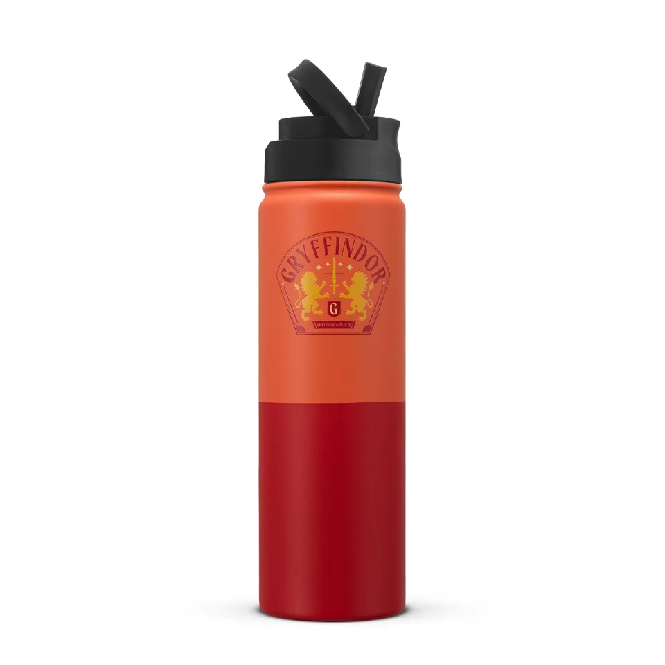 JoyJolt Harry Potter Gryffondor gourde inox 65 cl