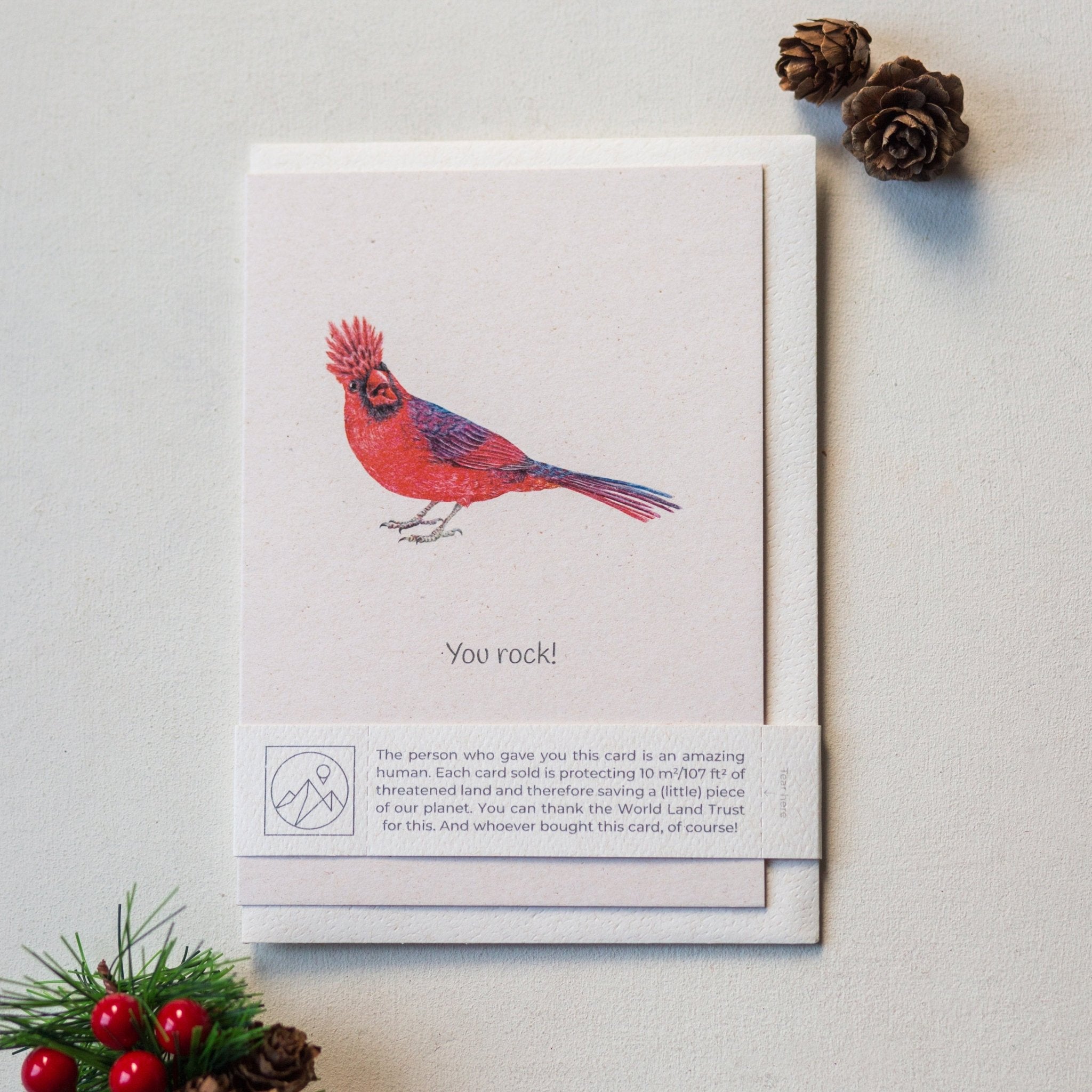 Trouvaille Carte Animaux Greeting Card Caritative Animaux