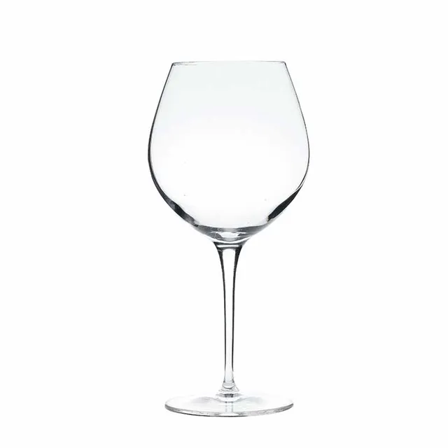 Artis Vinoteque Robusto verre à vin 66 cl large