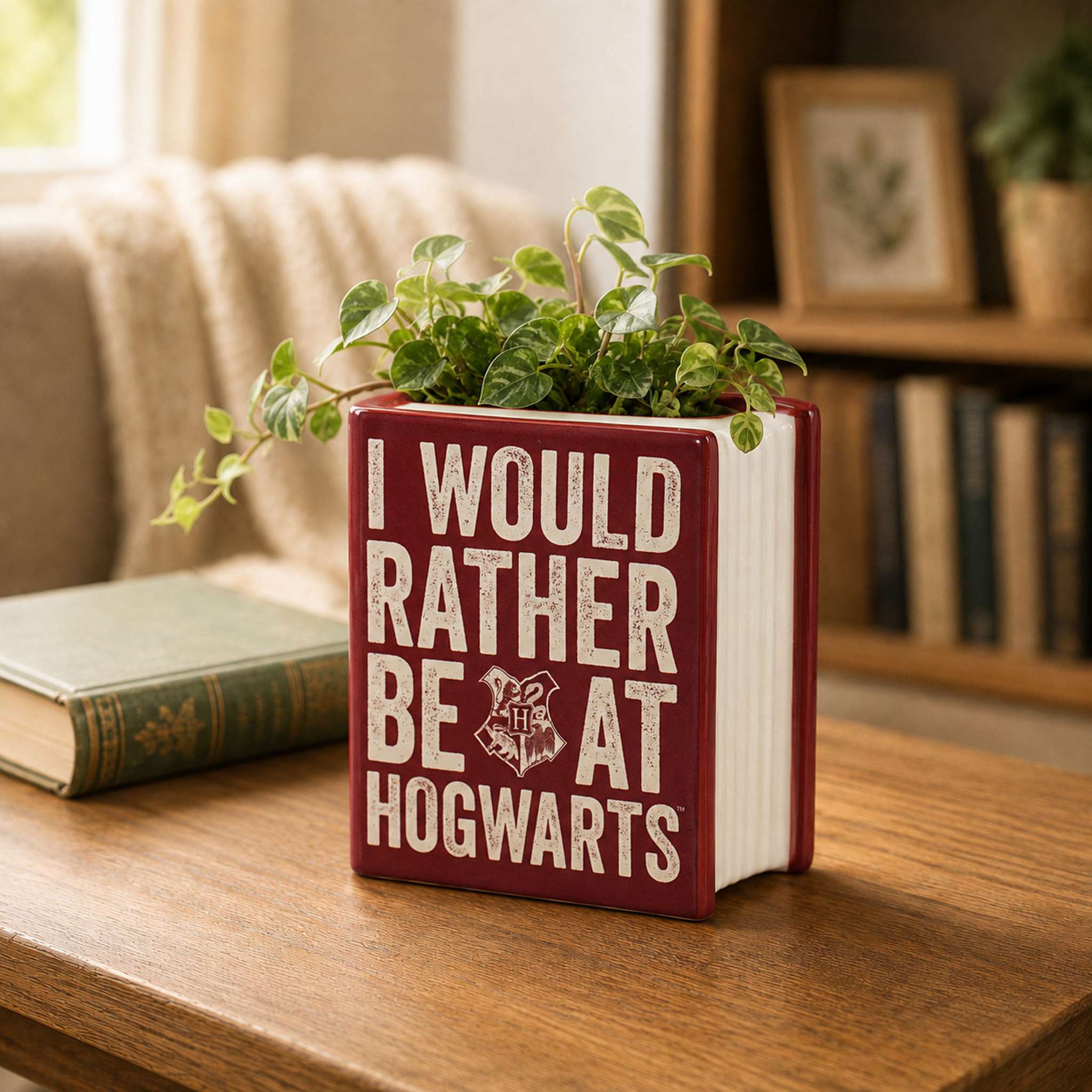 HMB Harry Potter Book Pot pot céramique 10 cm bordeaux