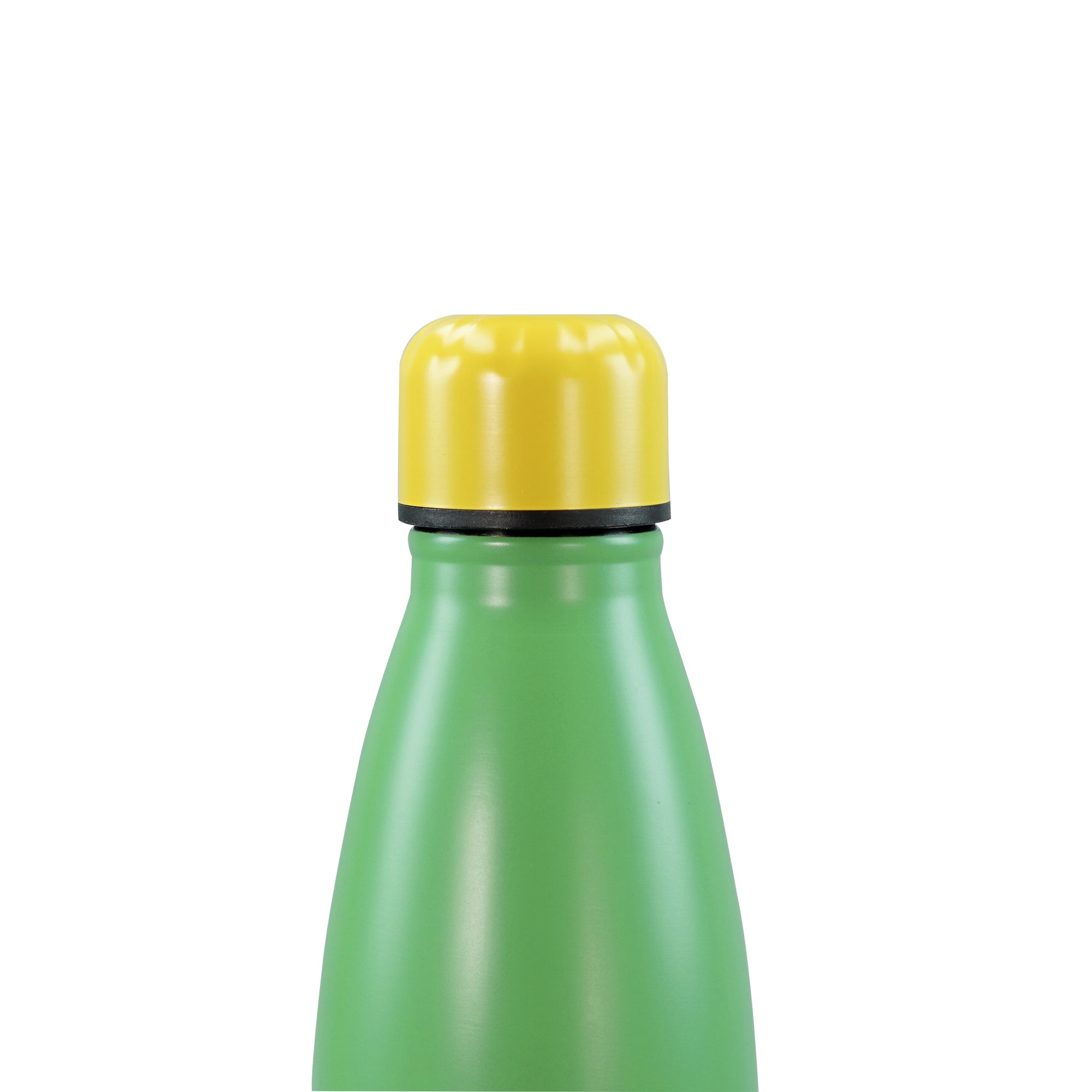 The Beatles Abbey Road gourde inox 50 cl verte