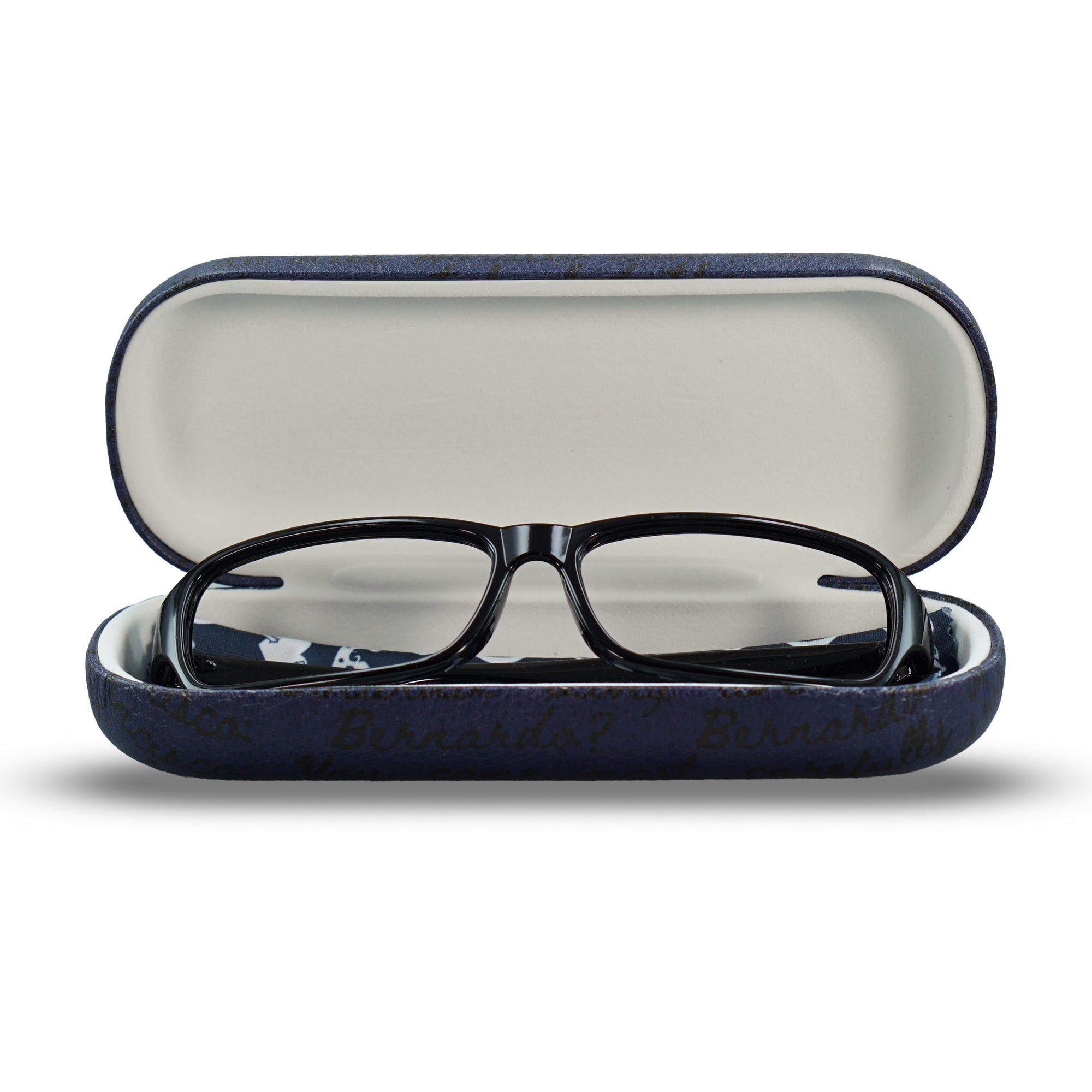 HMB Shakespeare Hamlet étui lunettes noir rigide