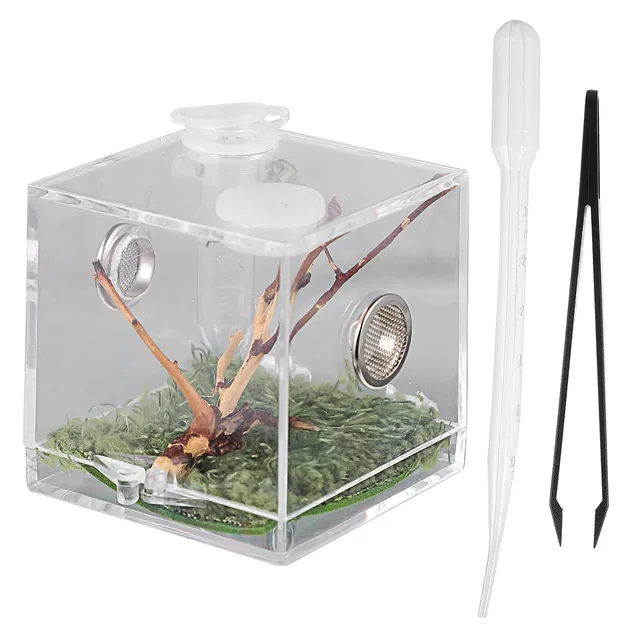 Alipis Terrarium acrylique araignée 5 cm avec pince