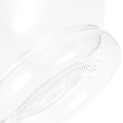 Alipis bocal à poisson plastique transparent 15cm lot 3