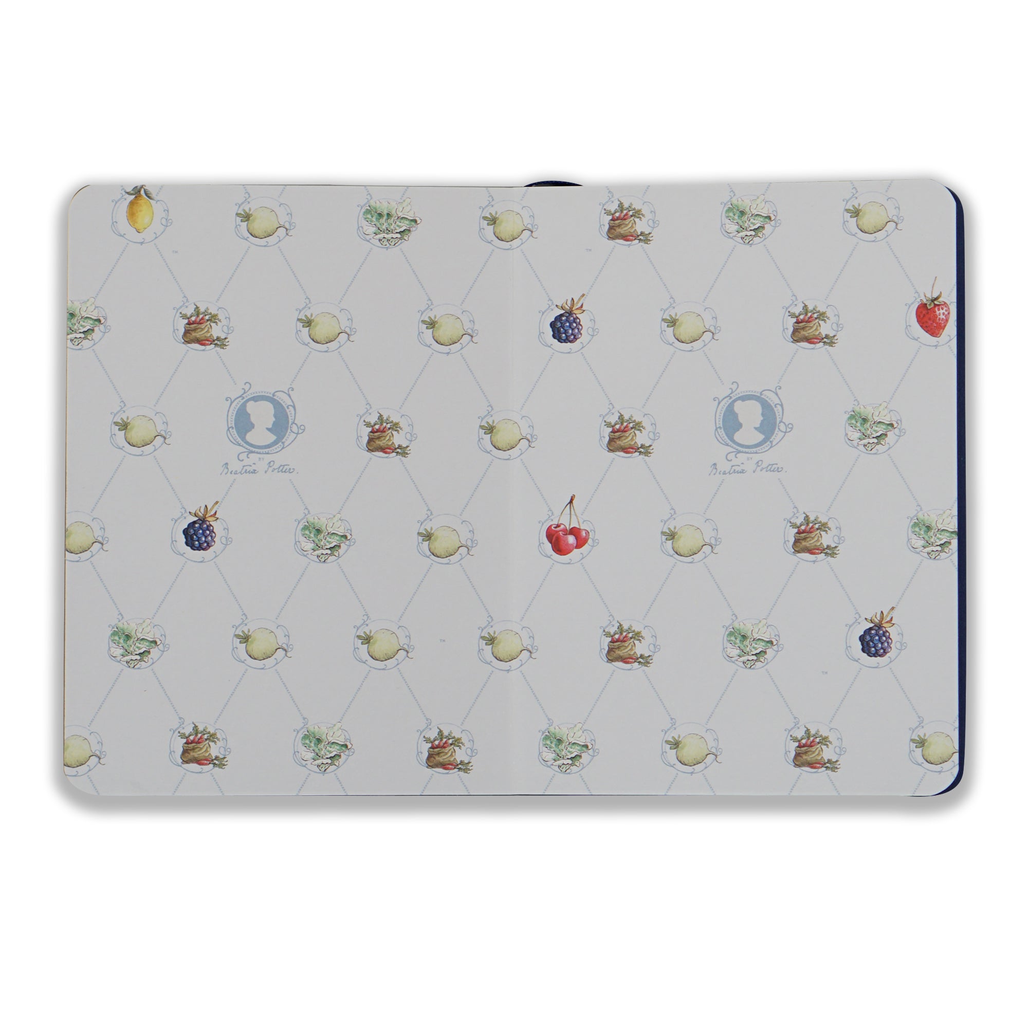 HMB Peter Rabbit A6 carnet softcover crème
