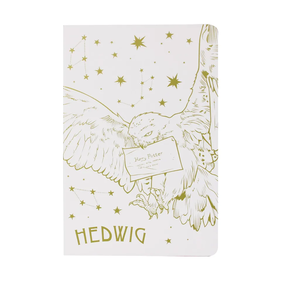 Harry Potter Hedwig carnet A5 souple 192 pages ligné